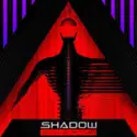 Shadow Domain: Digital Divide