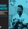 Muddy Waters: Muddy Waters Sings "Big Bill"