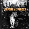 Kaponz & Spinoza: Éléments Du Décor