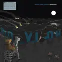Freddie Gibbs & Madlib: Bandana