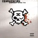 Combichrist: Everybody Hates You