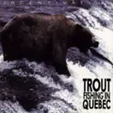 Trout Fishing In Quebec: Incentivation