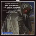 Ernst Wilhelm Wolf - Hanna Herfurtner · Marian Dijkhuizen · Georg Poplutz · Mauro Borgioni · Kölner Akademie, Michael Willens: Jesu, Deine Passion Will Ich Jetzt Bedenken (Passionsoratorium)