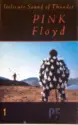Pink Floyd: Delicate Sound Of Thunder 1