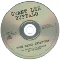 Grant Lee Buffalo: Open Ended Interview