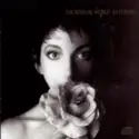 Kate Bush: The Sensual World