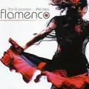 Various: Fire & Passion...The New Flamenco