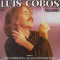 Luis Cobos: Vienna Concerto