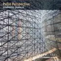 Dominique Grimaldi: Pulse Perspective