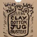 Clay Bottom Jug Busters: What Is That Wow?