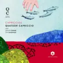 Quatuor Capriccio With Gérard Caussé, Yan Levionnois: Capriccios