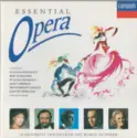 Various: Essential Opera
