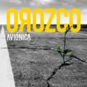 Antonio Orozco: Avionica