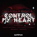 DJ L.a.m.c & Vision B.: Control My Heart
