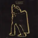 T. Rex: Electric Warrior