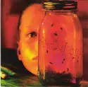 Alice In Chains: Jar Of Flies
