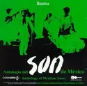 Various: Antología del Son de México, Huasteca