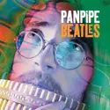 Unknown Artist: Panpipe Beatles