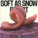 Soft As Snow: Bit Rot