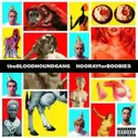 Bloodhound Gang: Hooray For Boobies