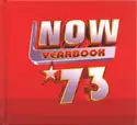 Various: Now Yearbook '73