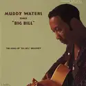 Muddy Waters: Muddy Waters Sings "Big Bill" (The Songs Of "Big Bill" Broonzy)