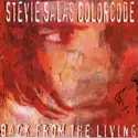 Stevie Salas Colorcode: Back From The Living
