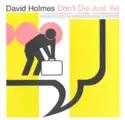 David Holmes: Don't Die Just Yet