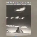 Steve Roach / Kevin Braheny / Michael Stearns: Desert Solitaire