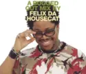 Felix Da Housecat: A Bugged Out Mix