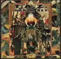 Hakim Bey: T.A.Z.