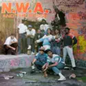 N.W.A. And The Posse: N.W.A. And The Posse