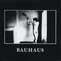 Bauhaus: In The Flat Field
