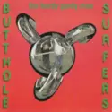 Butthole Surfers: The Hurdy Gurdy Man
