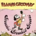 The Flamin' Groovies: Groovies Greatest Grooves