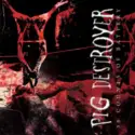 Pig Destroyer: 38 Counts Of Battery