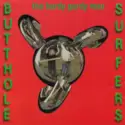 Butthole Surfers: The Hurdy Gurdy Man