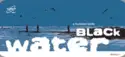 A Hundred Birds: Black Water