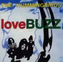 The Hummingbirds: loveBUZZ