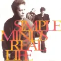 Simple Minds: Real Life