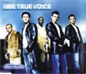 One True Voice: Sacred Trust / After You're Gone (I'll Still Be Loving You)