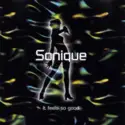 Sonique: It Feels So Good