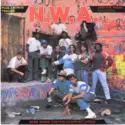 Various: N.W.A. And The Posse