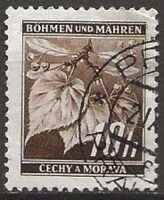 Linden Tree Branch with Fruits