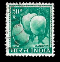 Mangoes (Mangifera indica)