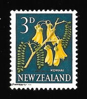 Kowhai (Sophora microphylla)