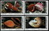4 items, including: Thailand: Chambered Nautilus (Nautilus pompilius), 1989