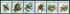 6 items, including: Brazil: Blue-and-white Swallow (Notiochelidon cyanoleuca) , 1994