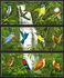 12 items, including: Dominica: Blue-headed Hummingbird (Cyanophaia bicolor), 1993
