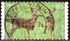 Germany, Federal Republic: Western Roe Deer (Capreolus capreolus), 2018